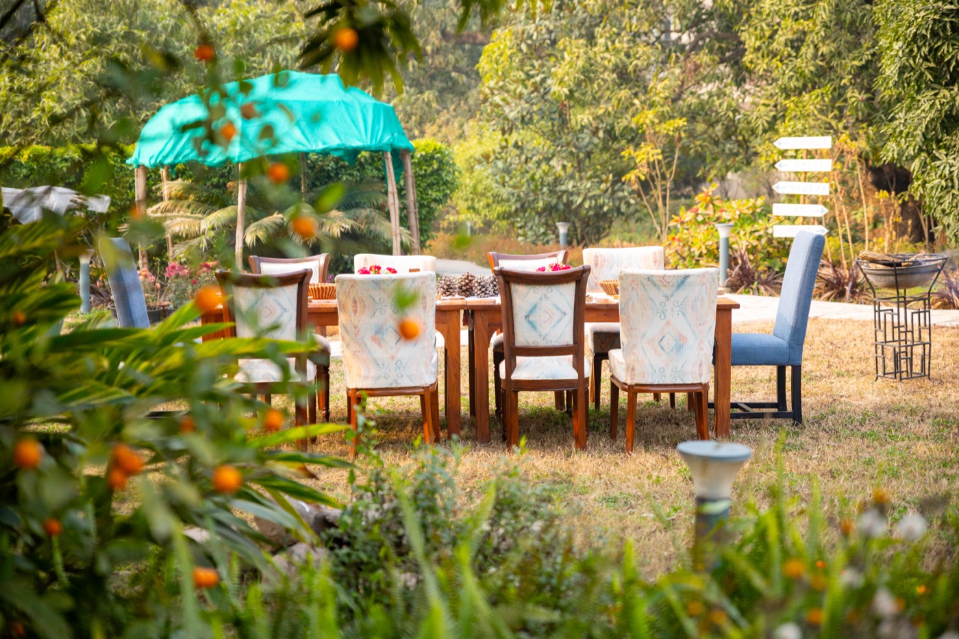 Dining at Bikram Bagh